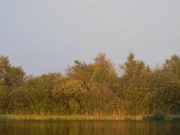 Landschaft in Dithmarschen