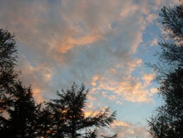 Landschaft in Dithmarschen